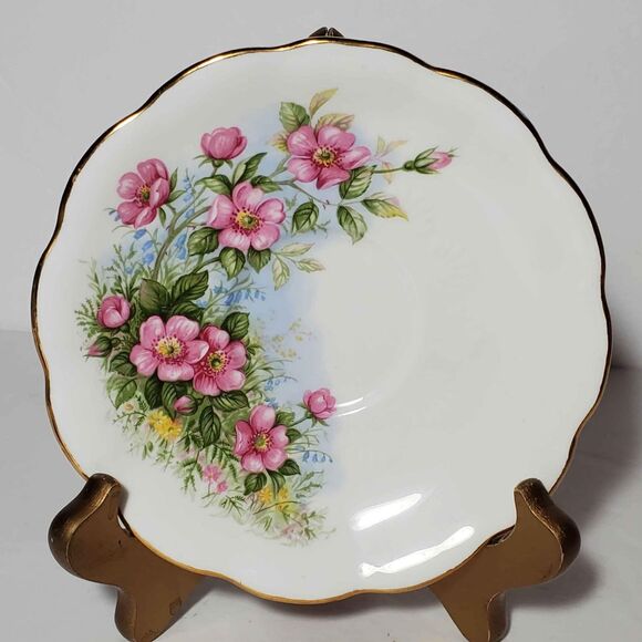 Royal Albert Teacup and Saucer Petula Sunnyside Series - Picture 6 of 9